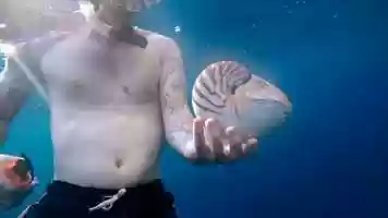 Free download Fiji Nautilus OMI call to action H264 video and edit with RedcoolMedia movie maker MovieStudio video editor online and AudioStudio audio editor onlin