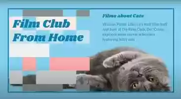 Free download FILM CLUB FROM HOME: Films about Cats video and edit with RedcoolMedia movie maker MovieStudio video editor online and AudioStudio audio editor onlin