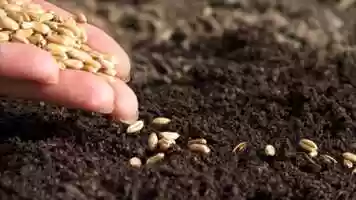 Free download FilmForth Senza titolo.mp4 video and edit with RedcoolMedia movie maker MovieStudio video editor online and AudioStudio audio editor onlin