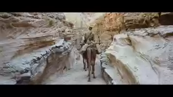 Free download Film Movement Reel video and edit with RedcoolMedia movie maker MovieStudio video editor online and AudioStudio audio editor onlin