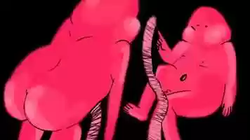 Free download final conjoined lip sync animation.mov video and edit with RedcoolMedia movie maker MovieStudio video editor online and AudioStudio audio editor onlin