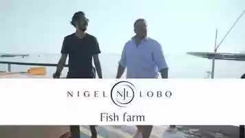 Free download Fish Farm video and edit with RedcoolMedia movie maker MovieStudio video editor online and AudioStudio audio editor onlin