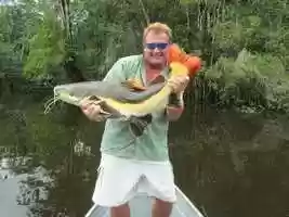 Free download Fishing Expedition Amazonia (Trailer) video and edit with RedcoolMedia movie maker MovieStudio video editor online and AudioStudio audio editor onlin