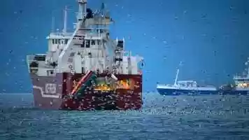 Free download Fish  Men Trailer video and edit with RedcoolMedia movie maker MovieStudio video editor online and AudioStudio audio editor onlin