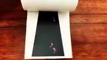 Free download Fish pattern of Interactive floor video and edit with RedcoolMedia movie maker MovieStudio video editor online and AudioStudio audio editor onlin