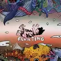 Free download 《flating》 Cover design animation video and edit with RedcoolMedia movie maker MovieStudio video editor online and AudioStudio audio editor onlin