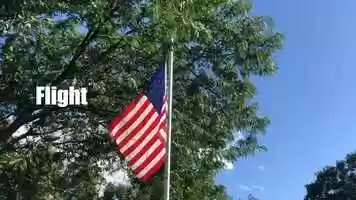 Free download Flight video and edit with RedcoolMedia movie maker MovieStudio video editor online and AudioStudio audio editor onlin