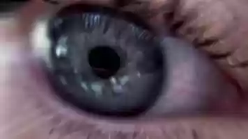 Free download Flightless video and edit with RedcoolMedia movie maker MovieStudio video editor online and AudioStudio audio editor onlin