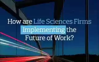 Free download Flipbook Pulse 7_Life Science.mp4 video and edit with RedcoolMedia movie maker MovieStudio video editor online and AudioStudio audio editor onlin