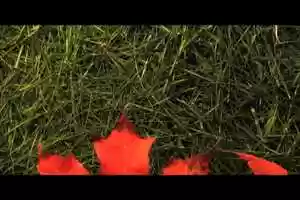 Free download Flip Frame Media sample reel video and edit with RedcoolMedia movie maker MovieStudio video editor online and AudioStudio audio editor onlin