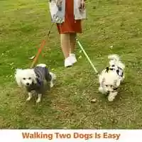 Free download FLOOFY Double Dare Dog Retractable Leash video and edit with RedcoolMedia movie maker MovieStudio video editor online and AudioStudio audio editor onlin
