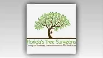 Free download Floridas Tree Surgeons in Action video and edit with RedcoolMedia movie maker MovieStudio video editor online and AudioStudio audio editor onlin