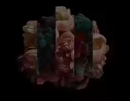 Free download Flower and logo animation.webm video and edit with RedcoolMedia movie maker MovieStudio video editor online and AudioStudio audio editor onlin