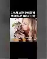 Free download Flower Pot Baby Groot Flowerpot Planter Action Figures Tree Man Model Toy For Kids Pen Holder Creative Garden Flower Planter Pot video and edit with RedcoolMedia movie maker MovieStudio video editor online and AudioStudio audio editor onlin