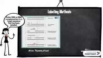 Free download Fluorescence in situ hybridization video and edit with RedcoolMedia movie maker MovieStudio video editor online and AudioStudio audio editor onlin