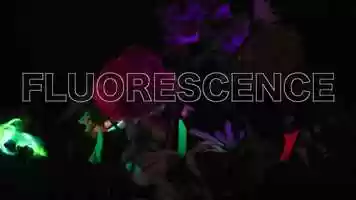 Free download Fluorescence TEASER video and edit with RedcoolMedia movie maker MovieStudio video editor online and AudioStudio audio editor onlin