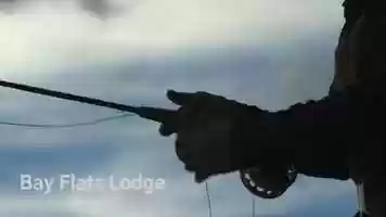 Free download Fly Fishing Destination video and edit with RedcoolMedia movie maker MovieStudio video editor online and AudioStudio audio editor onlin