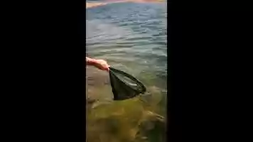 Free download Fly Fishing-  Social Media Edit video and edit with RedcoolMedia movie maker MovieStudio video editor online and AudioStudio audio editor onlin