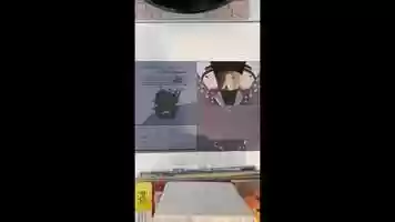Free download FLying Circus video and edit with RedcoolMedia movie maker MovieStudio video editor online and AudioStudio audio editor onlin