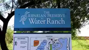 Free download FMP398: Visual Essay video and edit with RedcoolMedia movie maker MovieStudio video editor online and AudioStudio audio editor onlin