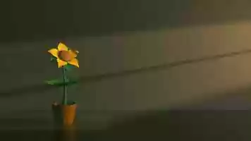 Free download Follow The Light (Animation) video and edit with RedcoolMedia movie maker MovieStudio video editor online and AudioStudio audio editor onlin