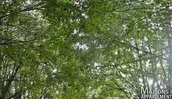 Free download FONTENAY LE COMTE - BIEN A VENDRE - 791 000  - 2000 m - 40 pices video and edit with RedcoolMedia movie maker MovieStudio video editor online and AudioStudio audio editor onlin