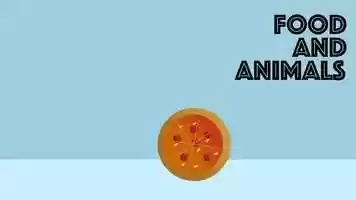 Free download Food and Animals video and edit with RedcoolMedia movie maker MovieStudio video editor online and AudioStudio audio editor onlin