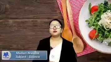 Free download Food - Where does it come from ll Class- Vl  Science ll Maheikol video and edit with RedcoolMedia movie maker MovieStudio video editor online and AudioStudio audio editor onlin