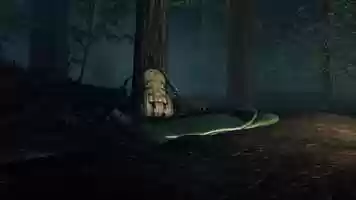 Free download Forest Campfire - UE4 Lighting Design video and edit with RedcoolMedia movie maker MovieStudio video editor online and AudioStudio audio editor onlin