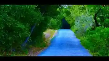 Free download Forest.mp4 video and edit with RedcoolMedia movie maker MovieStudio video editor online and AudioStudio audio editor onlin