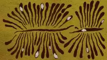 Free download Forests Threatened by Drought video and edit with RedcoolMedia movie maker MovieStudio video editor online and AudioStudio audio editor onlin