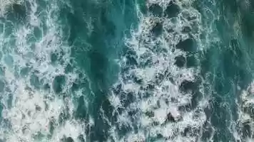 Free download Forward Movement video and edit with RedcoolMedia movie maker MovieStudio video editor online and AudioStudio audio editor onlin