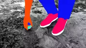 Free download Foxreneau Music Video video and edit with RedcoolMedia movie maker MovieStudio video editor online and AudioStudio audio editor onlin