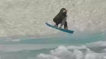 Free download F.O.Y. video and edit with RedcoolMedia movie maker MovieStudio video editor online and AudioStudio audio editor onlin