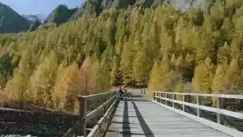 Free download France 3  Habillage TV 2020 - Alternative 1 video and edit with RedcoolMedia movie maker MovieStudio video editor online and AudioStudio audio editor onlin