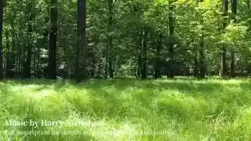 Free download FREE FILM MUSIC _ Atmospheric, Relaxing Instrumental Music (no copyright) video and edit with RedcoolMedia movie maker MovieStudio video editor online and AudioStudio audio editor onlin