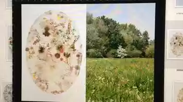 Free download Freezing the garden 7 gennaio 2019 video and edit with RedcoolMedia movie maker MovieStudio video editor online and AudioStudio audio editor onlin