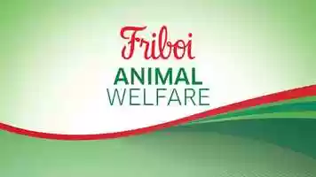 Free download Friboi - Animal Welfare video and edit with RedcoolMedia movie maker MovieStudio video editor online and AudioStudio audio editor onlin
