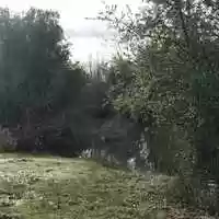 Free download Frog Pond Song video and edit with RedcoolMedia movie maker MovieStudio video editor online and AudioStudio audio editor onlin