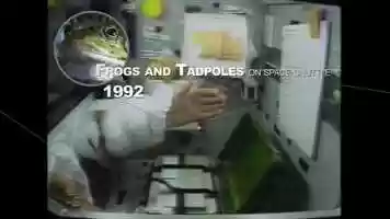 Free download Frogs in Space Clip from Animal Astronauts Jan 2020 Vimeo video and edit with RedcoolMedia movie maker MovieStudio video editor online and AudioStudio audio editor onlin