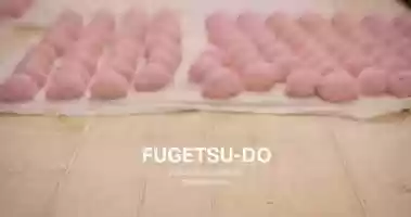 Free download FUGETSU-DO trailer video and edit with RedcoolMedia movie maker MovieStudio video editor online and AudioStudio audio editor onlin