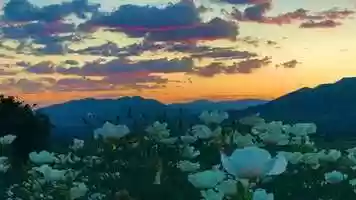 Free download Full Moon Meditation Recording - June 4, 2020 Festival of Goodwill video and edit with RedcoolMedia movie maker MovieStudio video editor online and AudioStudio audio editor onlin