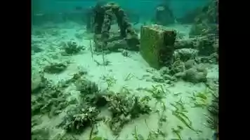 Free download Fun dive with Miquelina video and edit with RedcoolMedia movie maker MovieStudio video editor online and AudioStudio audio editor onlin
