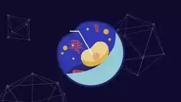 Free download Fun facts_ DNA video and edit with RedcoolMedia movie maker MovieStudio video editor online and AudioStudio audio editor onlin