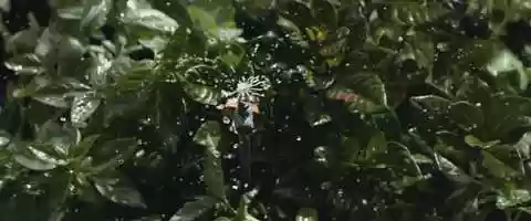 Free download GARDENA Cleverwatering video and edit with RedcoolMedia movie maker MovieStudio video editor online and AudioStudio audio editor onlin