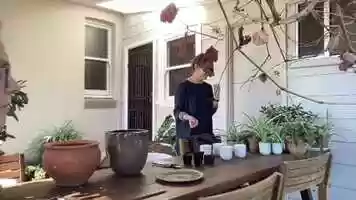 Free download Gardening Club Meeting May Recording video and edit with RedcoolMedia movie maker MovieStudio video editor online and AudioStudio audio editor onlin