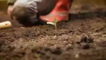 Free download Gardening Weekend video and edit with RedcoolMedia movie maker MovieStudio video editor online and AudioStudio audio editor onlin