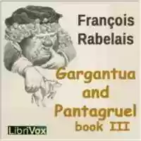 Free download Gargantua and Pantagruel, Book III audio book and edit with RedcoolMedia movie maker MovieStudio video editor online and AudioStudio audio editor onlin