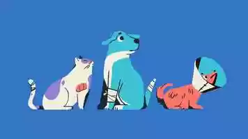 Free download GEICO Pet Insurance, Explained video and edit with RedcoolMedia movie maker MovieStudio video editor online and AudioStudio audio editor onlin
