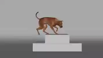 Free download German Pinscherdog animation test video and edit with RedcoolMedia movie maker MovieStudio video editor online and AudioStudio audio editor onlin